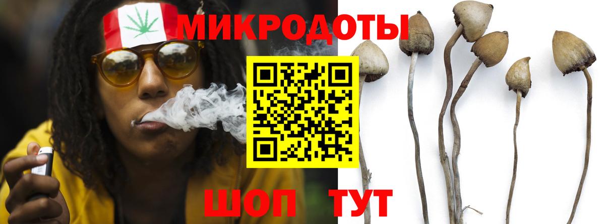 Галлюциногенные грибы мицелий  Псилоцибиновые грибы Psilocybe  Ногинск  Вход с VPN 
